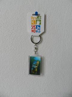 Obrázek z Klíčenka 3D 3,6x5,6cm - T-Rex(12) 